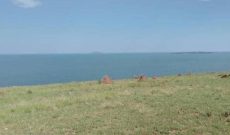 500 Acres Of Lake Shore Land For Sale In Buikwe District At 25m Per Acre