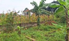 26 Decimals Plot Of Land For Sale In Kyanja Town At 350m