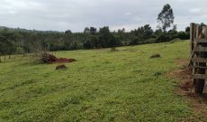 8 Acres Land For Sale In Kasanje At 60m Per Acre