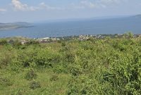 50x100ft Lake View Plots Of Land For Sale In Kiyindi Buikwe At 15m Per Plot