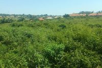 1 Square Mile - 640 Acres Of Land For Sale In Kayunga Bugerere At 6m Per Acre