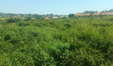 1 Square Mile - 640 Acres Of Land For Sale In Kayunga Bugerere At 6m Per Acre