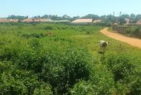 10 Acres Of Land For Sale In Mpala Off Express Highway Road Toll At 550m Per Acre