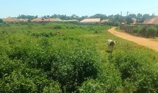 10 Acres Of Land For Sale In Mpala Off Express Highway Road Toll At 550m Per Acre