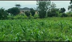 5 Acres Of Land For Sale In Kasanje Off Entebbe At 90m Per Acre