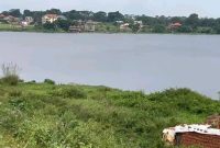 2 Acres Of Lake Shore Land For Sale In Kasenyi Road Entebbe At 800m