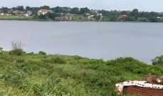 2 Acres Of Lake Shore Land For Sale In Kasenyi Road Entebbe At 800m