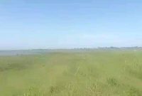 670 Acres Of Lake Shore Land For Sale In Bbaale Lake Kyoga Kayunga At 7m Per Acre