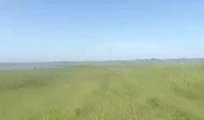 670 Acres Of Lake Shore Land For Sale In Bbaale Lake Kyoga Kayunga At 7m Per Acre