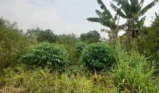 10 Acres Of Farmland For Sale In Lukiizi Village Butuntumula Luwero District At 7.5m Per Acre