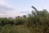 7 Acres Of Land For Sale In Bombo Kalule At 45m Per Acre