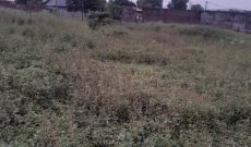 80 Decimals Commercial Land For Sale In Rubaga At 800m