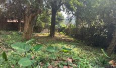 14 Decimals Plot Of Land For Sale In Kololo At 350,000 USD