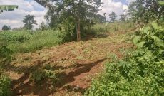 2 Acres Of Land For Sale In Luwero Kakoge 7m Per Acre