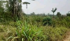 400 Acres Of Land For Sale In Nakasongola Migyera 100 Meters From Tarmac At 5m Shillings Per Acre