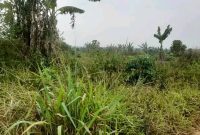 644 Acres Of Freehold Land For Sale In Bulambuli Muyembe At 6m Shillings Per Acre