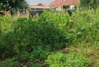 2 Acres Of Wall Fenced Land For Sale In Buwate At 460m Per Acre