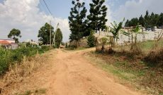 23 Decimals Plot Of Land For Sale In Namugongo Nabusugwe At 140m