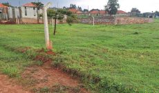 50x100ft Plot Of Land For Sale In Kira Mulawa At 68m