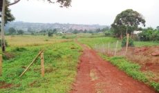 50x100ft Lake View Plot Of Land For Sale In Kasanje Kkoba At 16m