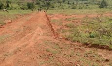 23 Plots Of 50x100ft For Sale In Nakasajja At 16m Shillings Each