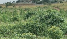 50x100ft Plots Of Land For Sale In Ssisa Entebbe Road At 45m Each