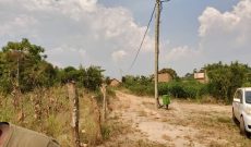 5 Acres Of Land For Sale In Wabitungulu Town Zirobwe At 30m Per Acre