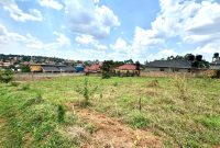 30 Decimals : 100x130ft Plot Of Land For Sale In Najjera Buwate Road At 330m