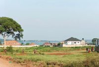 2 Lake View Plots Of 100x100ft Of Land For Sale In Nkumba Entebbe At 150m