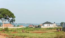 2 Lake View Plots Of 100x100ft Of Land For Sale In Nkumba Entebbe At 150m