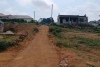 30x60ft Plot Of Land For Sale In Kisubi Entebbe Road At 12m Shillings