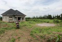 43 Acre Farm With House For Sale In Kyanjubu Kyarusozi in Kyenjojo At 8m Per Acre