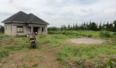 43 Acre Farm With House For Sale In Kyanjubu Kyarusozi in Kyenjojo At 8m Per Acre