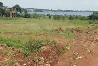 20 Acres Of Land For Sale In Bukasa Bugiri-Kawuku Bwerenga Rd At 450m Per Acre