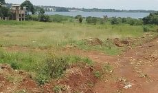 20 Acres Of Land For Sale In Bukasa Bugiri-Kawuku Bwerenga Rd At 450m Per Acre