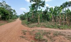 3 Acres Of Farmland With Coffee And Banana Plantation For Sale In Wobulenzi At 30m Shillings Per Acre