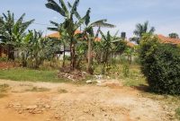 23 Decimals Plot Of Land For Sale In Kira Kiwologoma Estate At 240m