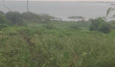 8 Acres Of Lake View Land For Sale Kibanga Bunankanda Kisoga Mukono At 45m Per Acre