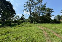 2 Acres Of Land For Sale In Kira Kijjabijo At 220m Shillings Per Acre