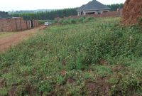 50x100ft plot for sale at kisaasi-kulambiro asking 200m ugx titled, for apartments