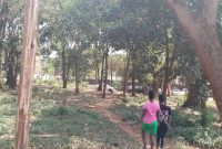 2 Acres Of Commercial Land For Sale In Rubaga Kabusu Road At 2.8 Billion Shillings