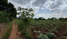 10 Acres Of Land For Sale Nyanja Near Kira Kitukutwe Bukerere And Kijjabijo At 200m Each