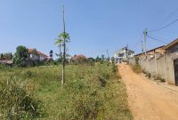 12 Decimals Plot Of Land For Sale In Kira Shimoni At 75m