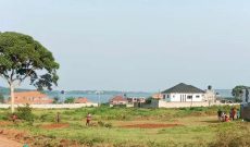 50 Decimals Lake View Plot Of Land For Sale In Nkumba Entebbe At 320m