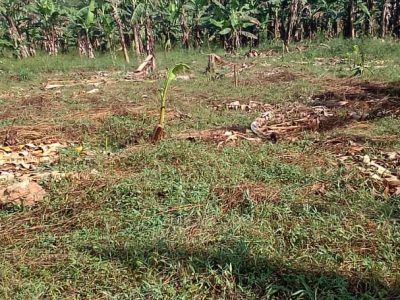 Plot Of Land Of 20x45ft For Sale In Wakiso Kikandwa At 2.2m Shillings