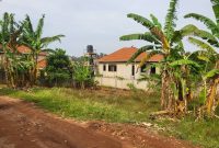 2 Plots Of 15 Decimals For Sale In Kireka Near Namboole At 120m Each