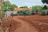 18 Decimals Plot Of Land For Sale In Buziga At 370m Shillings