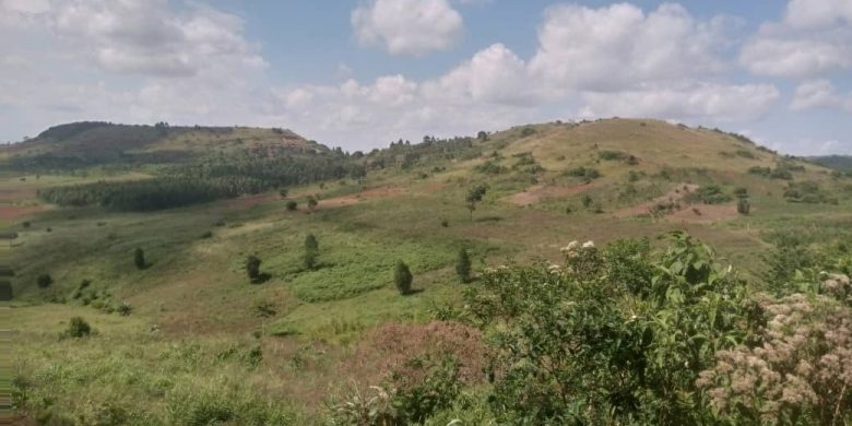 640 acres of land for sale 17km off Entebbe road at 60m per acre