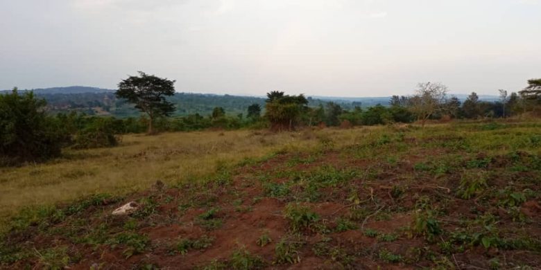 120 Acres Of Land For Sale In Busunjju Hoima Rd 25m Each