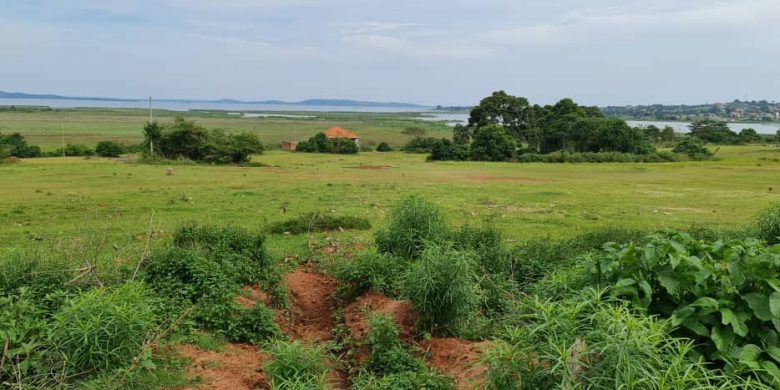 22 acres of lake view land for sale in Namulanda Entebbe road at 450m per acre